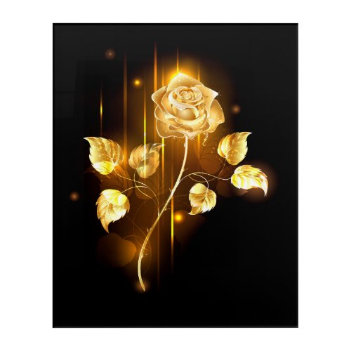 Golden rose  gold rose  acrylic print