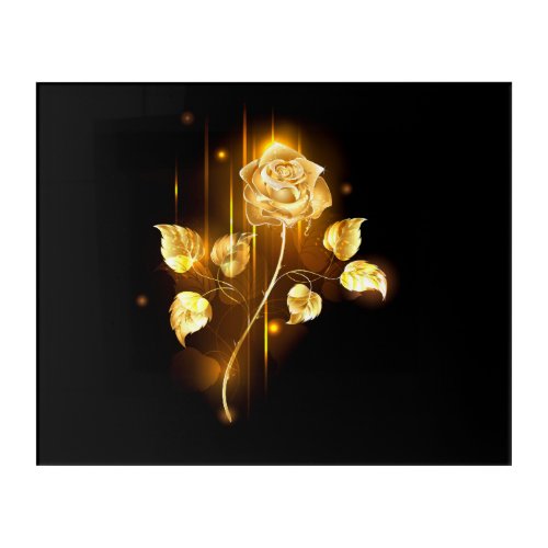 Golden rose  gold rose  acrylic print