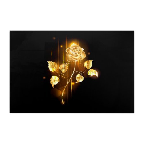 Golden rose  gold rose  acrylic print
