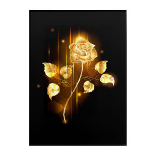 Golden rose ( gold rose ) acrylic print