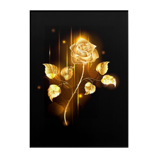 Golden rose ( gold rose ) acrylic print (Front)