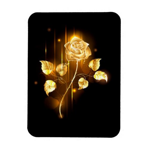Golden rose  gold rose  magnet