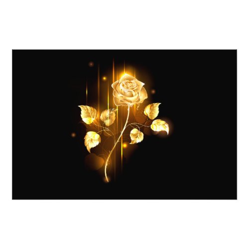 Golden rose  gold rose  photo print