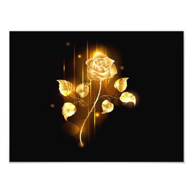 Golden rose ( gold rose ) photo print (Front)