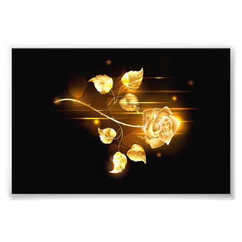 Golden rose  gold rose  photo print