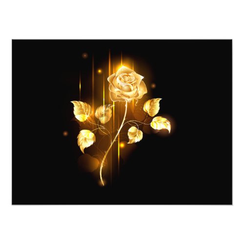 Golden rose  gold rose  photo print