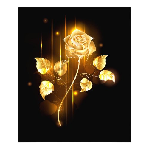 Golden rose  gold rose  photo print