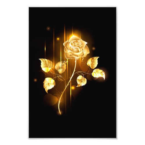 Golden rose  gold rose  photo print