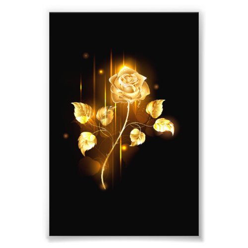 Golden rose  gold rose  photo print