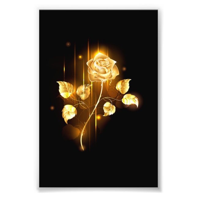 Golden rose ( gold rose ) photo print (Front)