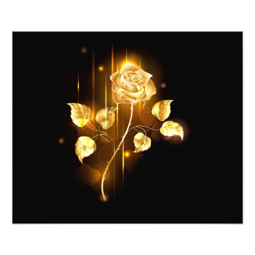 Golden rose  gold rose  photo print