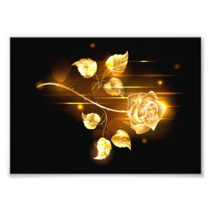 Golden rose ( gold rose ) photo print