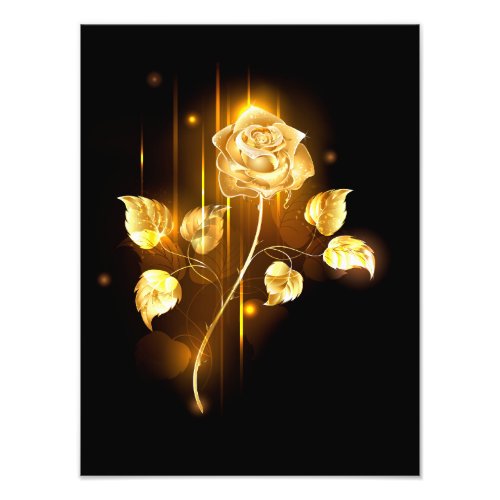 Golden rose  gold rose  photo print