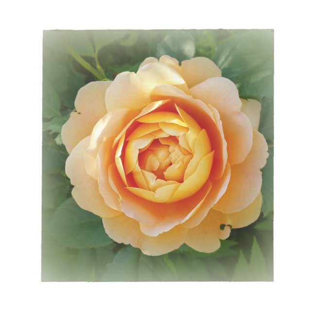 Golden rose notepad (Front)