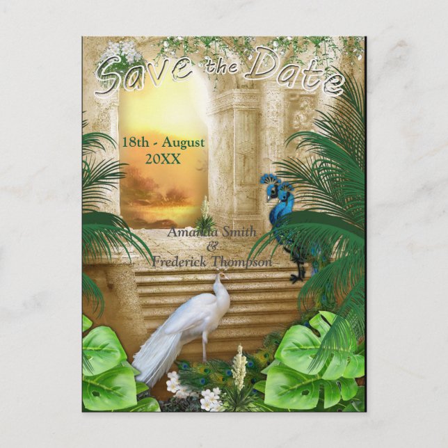 Golden Royal Peacock Temple Dreams Announcement Postcard (Front)