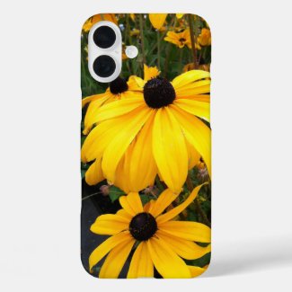 Golden Rudbeckia Black Eyed Susan Flowers