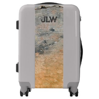 Golden Rust Stained Gray Concrete Wall Urban