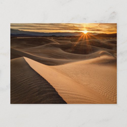 Golden Sand dunes Death Valley CA Postcard