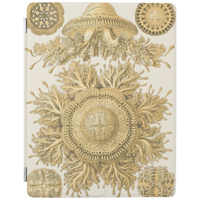Golden Sea Creatures iPad Smart Cover (Front)
