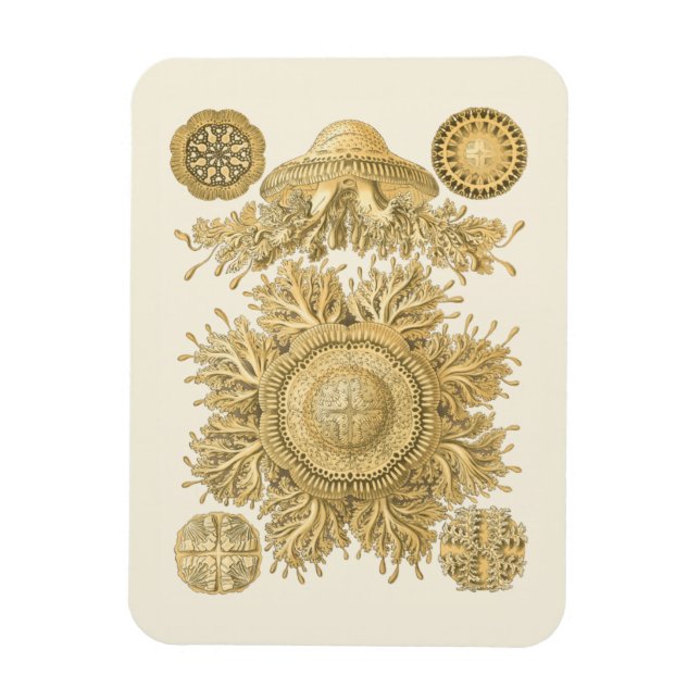 Golden Sea Creatures Magnet (Vertical)