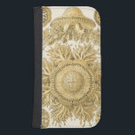 Golden Sea Creatures Galaxy S4 Wallet Case<br><div class="desc">Ernst Haeckel is a creative and imaginative artist. In this contemporary piece of art,  he captures the sea life anemone urchins in gold and twisty designs. You won't have any other piece of art like its kind. Get this innovative piece of ocean art on your products today!</div>