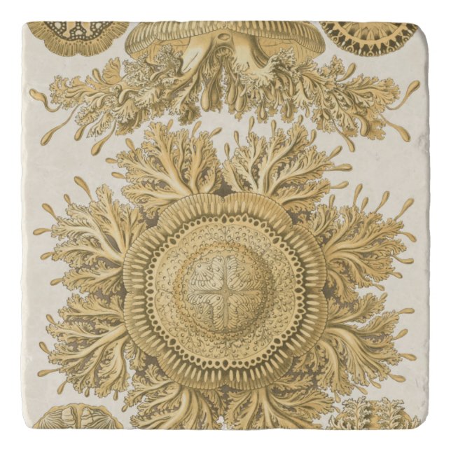 Golden Sea Creatures Trivet (Front)