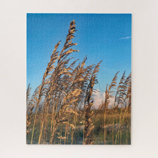 Golden Sea Oats Beach Anastasia State Park Jigsaw Puzzle