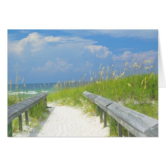Golden Sea Oats Cards (Front Horizontal)