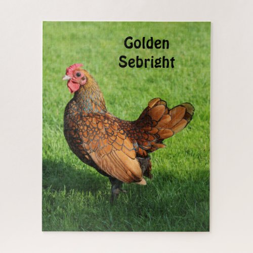 Golden Sebright Rooster _ Bantam Pet Chicken Jigsaw Puzzle