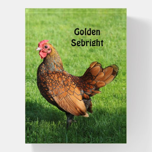 Golden Sebright Rooster_ Bantam Pet Chicken Paperweight