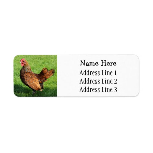 Golden Sebright Rooster Pet Chicken Return Address Label