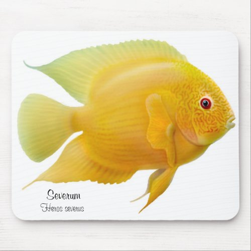 Golden Severum Cichlid Mousepad