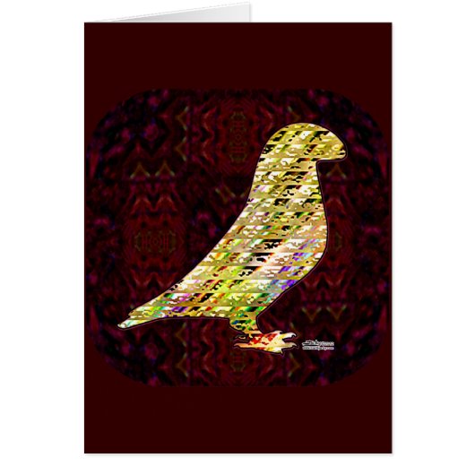 Golden Show Racer Pigeon (Front)