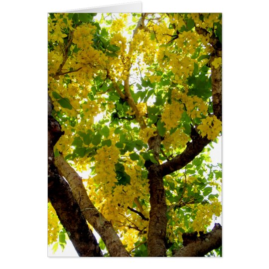 Golden Shower Tree Card