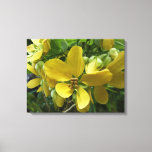 Golden Shower Tree Tropical Yellow Floral Canvas Print