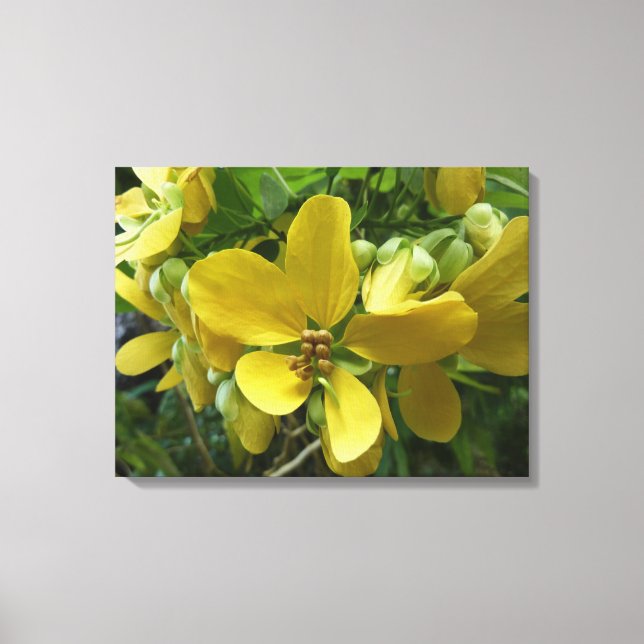 Golden Shower Tree Tropical Yellow Floral Canvas Print (Front)