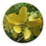 Golden Shower Tree Tropical Yellow Floral Ceramic Knob