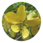 Golden Shower Tree Tropical Yellow Floral Classic Round Sticker