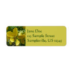 Golden Shower Tree Tropical Yellow Floral Label
