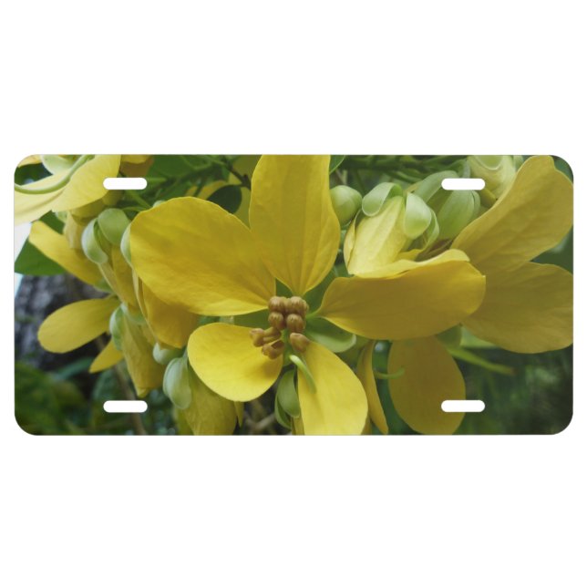 Golden Shower Tree Tropical Yellow Floral License Plate (Front)
