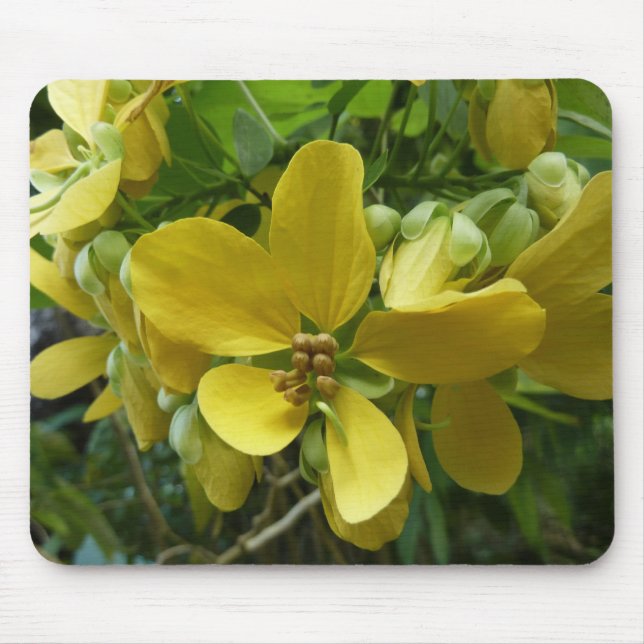 Golden Shower Tree Tropical Yellow Floral Mouse Pad (Front)