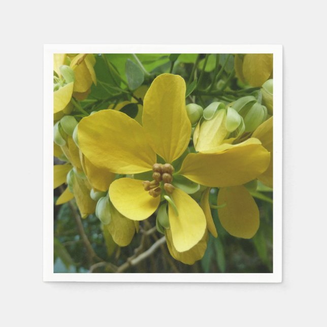 Golden Shower Tree Tropical Yellow Floral Napkins (Front)