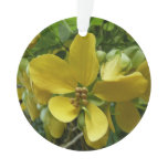 Golden Shower Tree Tropical Yellow Floral Ornament