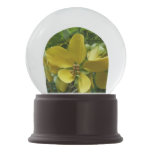 Golden Shower Tree Tropical Yellow Floral Snow Globe