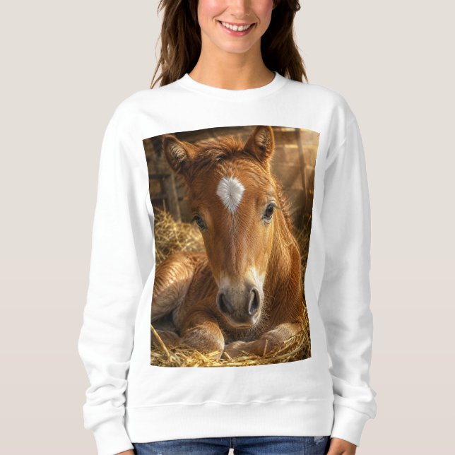 Golden Slumber gentle Foal Sweatshirt (Front)