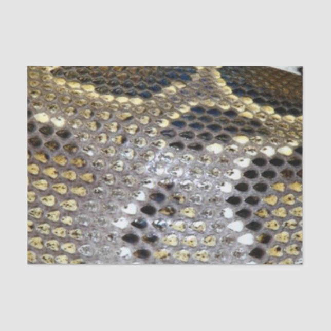 Golden snake skin pattern tissue paper (Front)