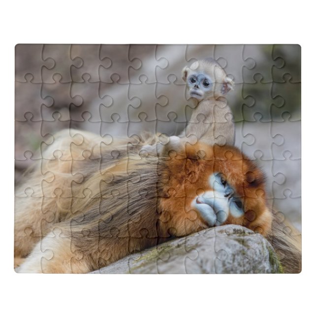 Golden Snub-nosed Monkey Dad with Baby Jigsaw Puzzle (Puzzle Horizontal)