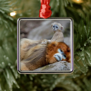 Golden Snub-nosed Monkey Dad with Baby Metal Ornament