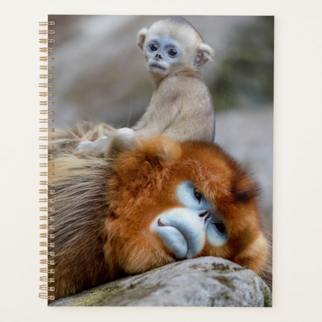 Golden Snub-nosed Monkey Dad with Baby Planner (Front)