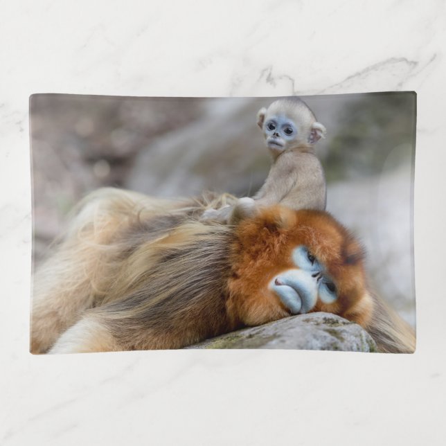 Golden Snub-nosed Monkey Dad with Baby Trinket Tray (Front)
